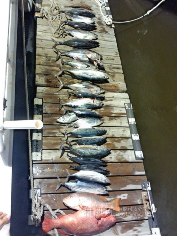 三亞海釣?zāi)康牡赝扑]，租艘釣魚艇去海釣吧！