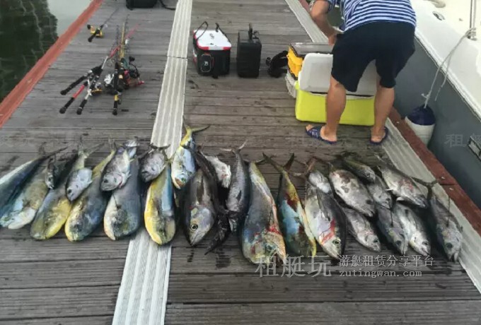 三亞海釣?zāi)康牡赝扑]，租艘釣魚艇去海釣吧！